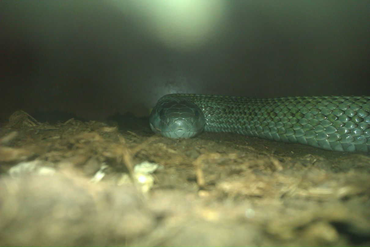 Татьяна Горобцова | Москва