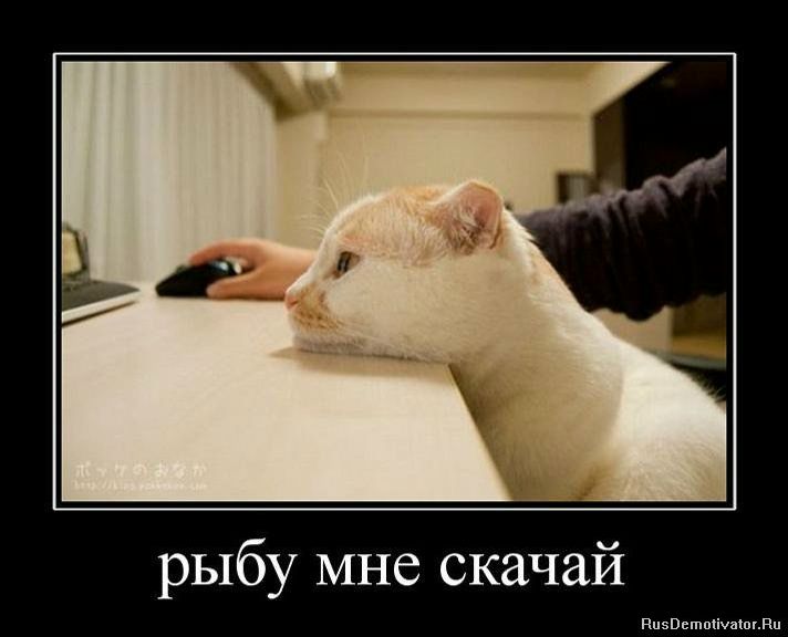 №11, Евгений Дрибноход №11, Евгений Дрибноход