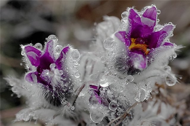 Таня Коломиец | Киев