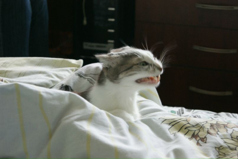 Валерия Белова | 