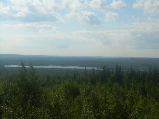 Максим Медяков | Фрязино