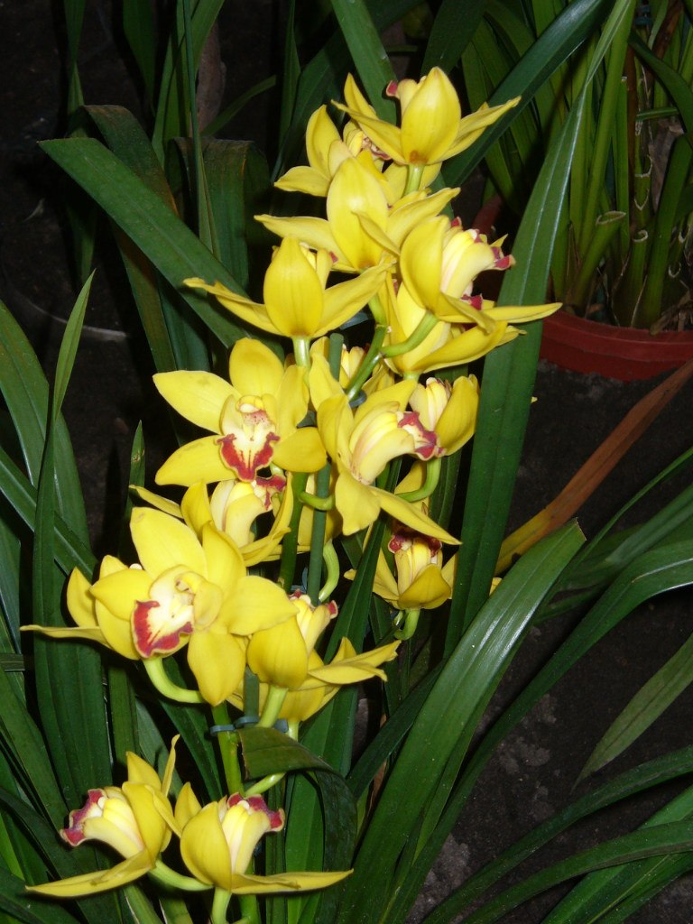 Татьяна Голубева | Москва