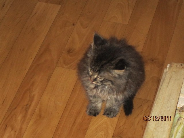 Александр Селиверстов | Калуга