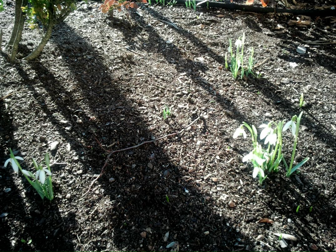 Екатерина Авербах | Stuttgart