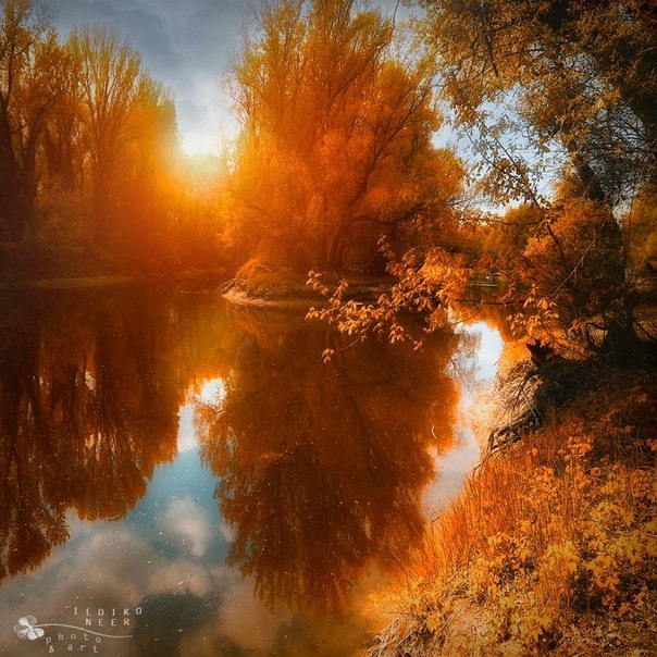 Анна Антименкова Нют | 