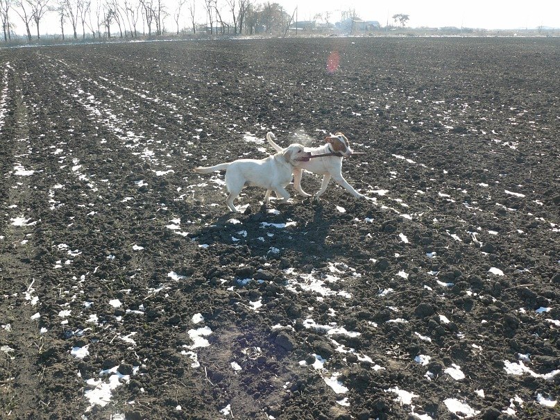 Инна Ошовская | Одесса