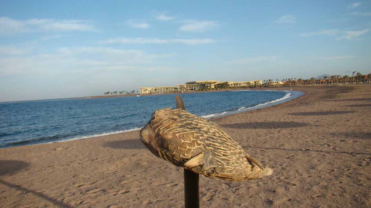 Алёна Локосова | Лесосибирск
