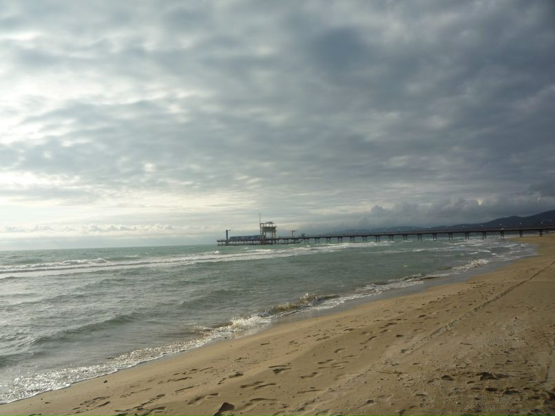 Елизавета Устинова | Барнаул