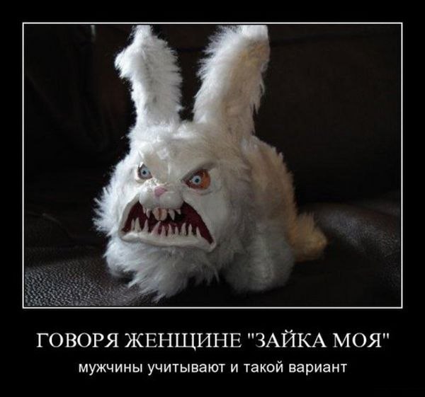 Паша Степаненко | Тула