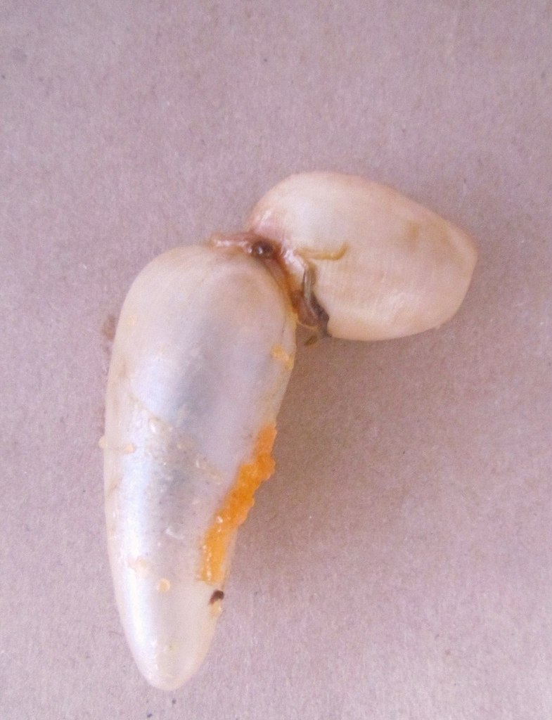 Валерия Дашут ܓ | Москва