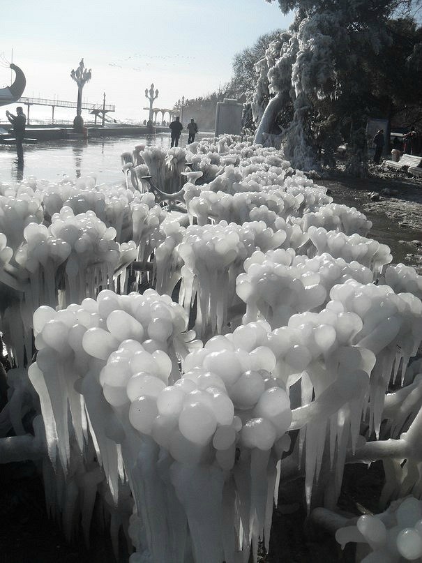 Анастасия Вергун | 