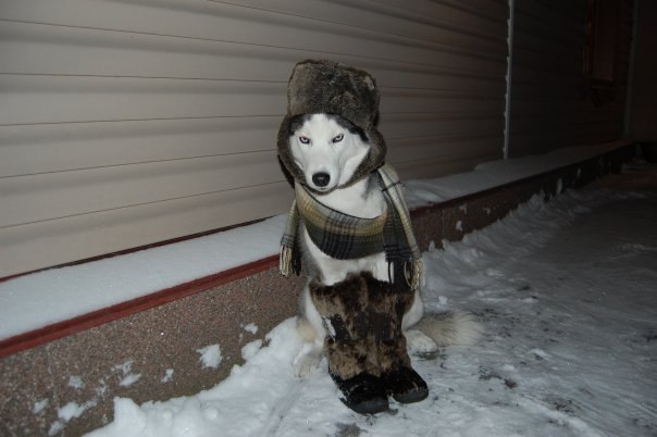 Владислав Петреченко intelektika | Бийск