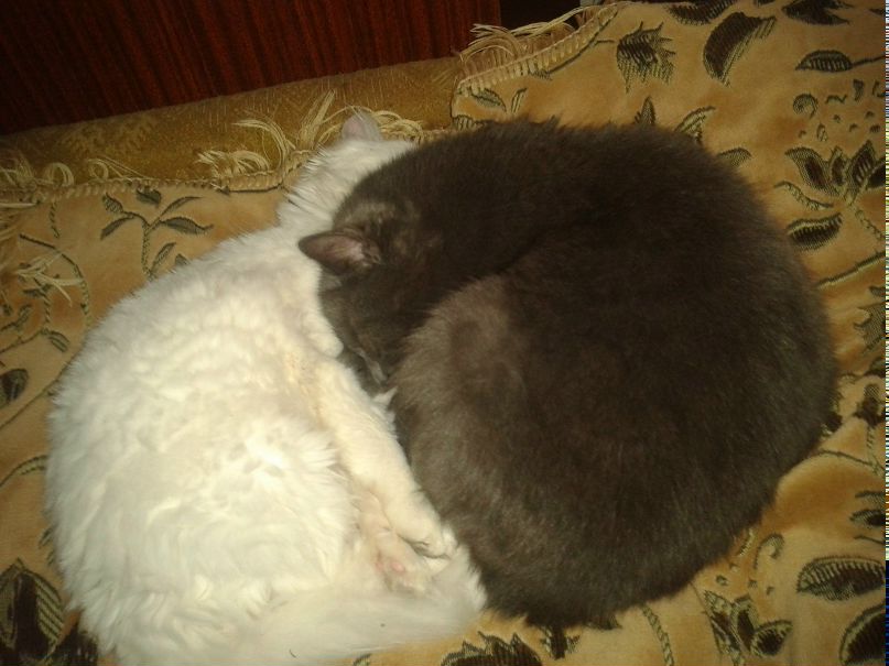 Дима Мазный | Сумы