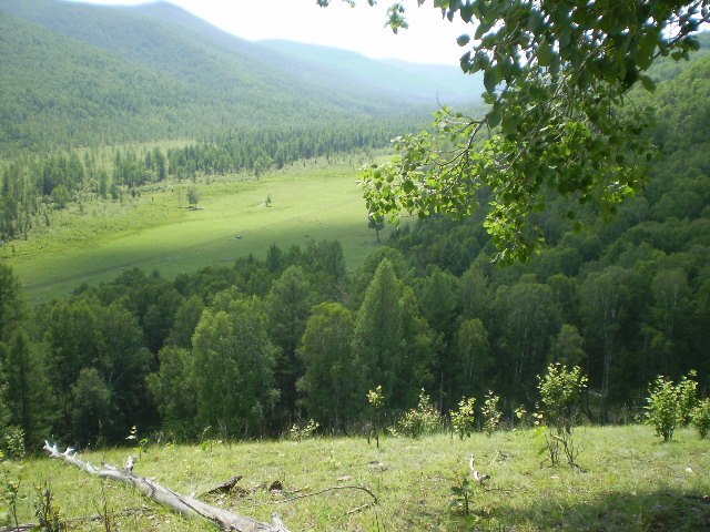 Дмитрий Гырылов Анатольевич | Улан-Удэ