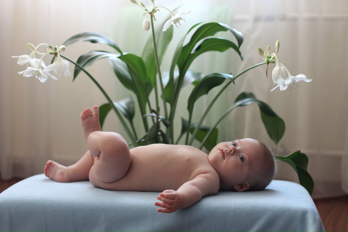 Мария Сафонова | Новосибирск