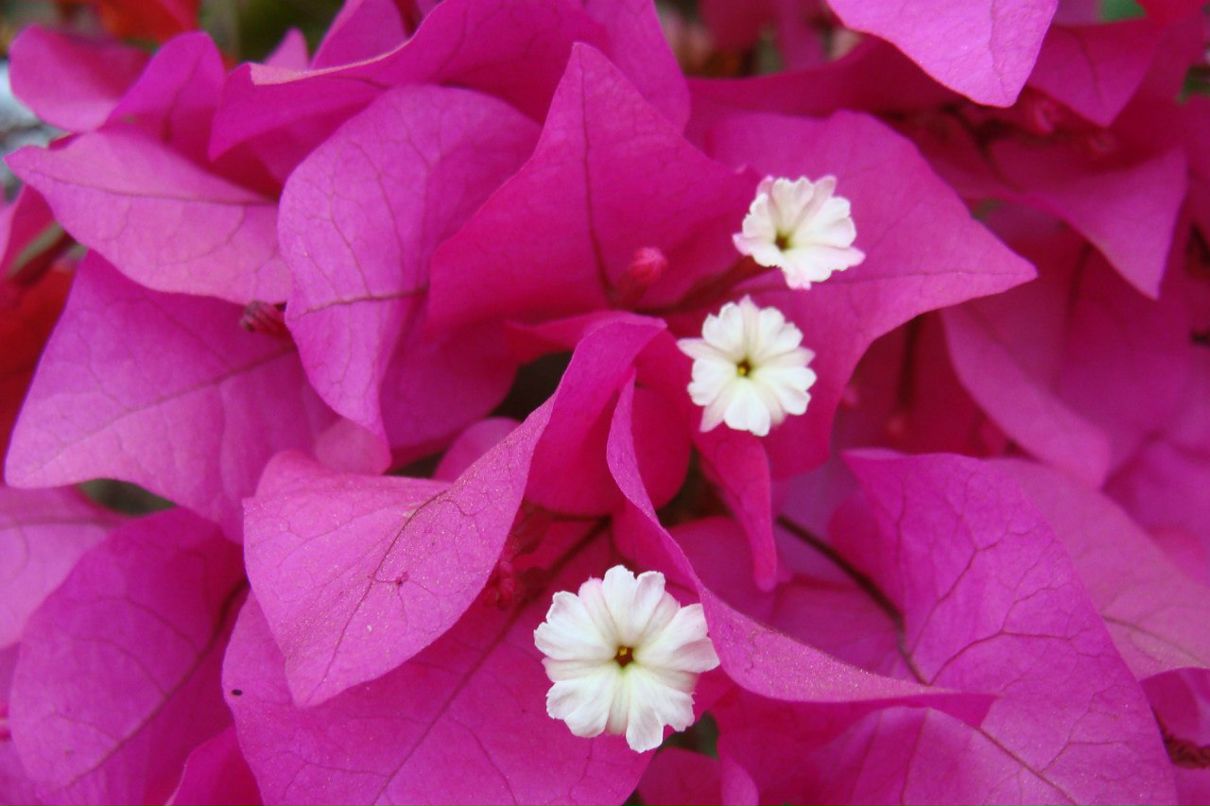 Татьяна Полякова | Рязань