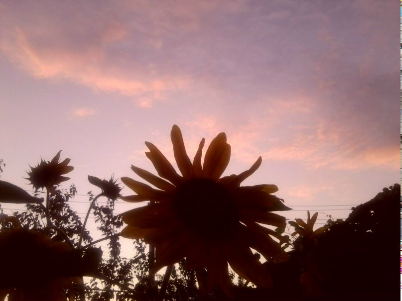 Ирина Бужан Александровна | Минск