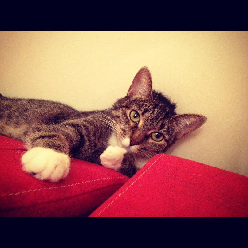 Артем Елин | Москва (деревня)