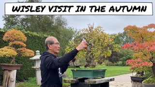 Autumn visit to RHS Wisley