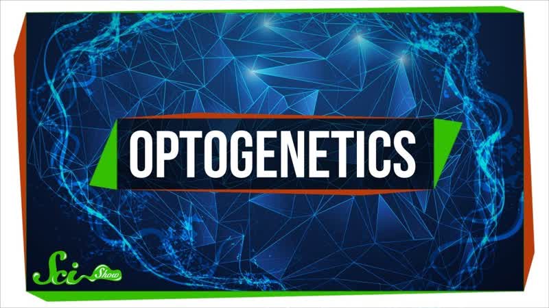 Optogenetics: Using Light to Control Your