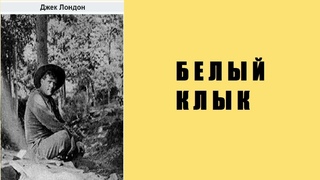 Аудиокнига. Белый клык Джек. Лондон.