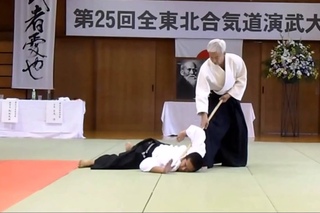 Beauty Of Aikido - Aikido Demo - Aikido highlights 2016