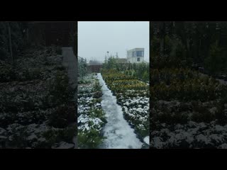 надо радоваться моменту :)