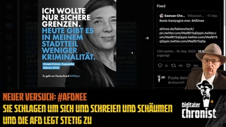 Neuer Versuch: #AfDnee - Sie schlagen um sich und schreien und schäumen und die AfD legt stetig zu!