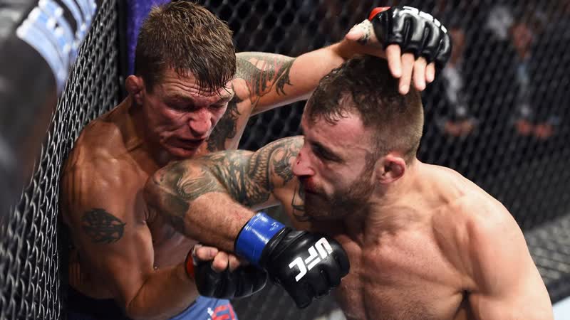 Alexander Volkanovskis 10 Fight Win Streak to Start UFC