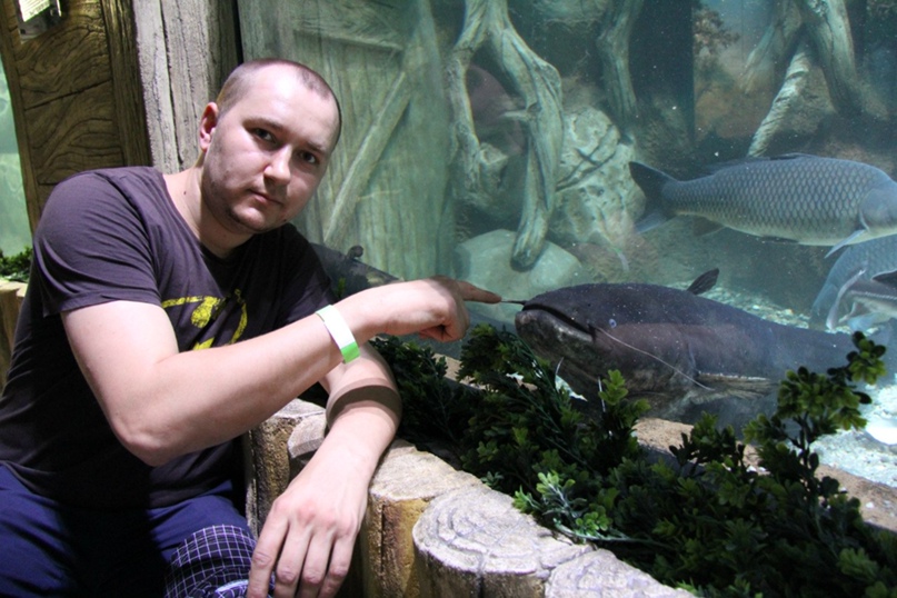 Александр Сорокин | Воронеж