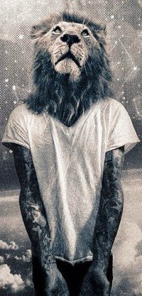 Николай Козлов | Данилов