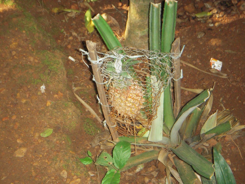 Илья Викторов | Казань