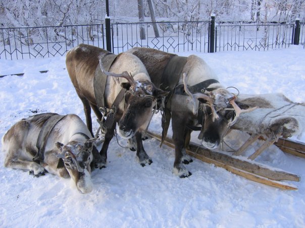 Марина Гребенникова | Москва
