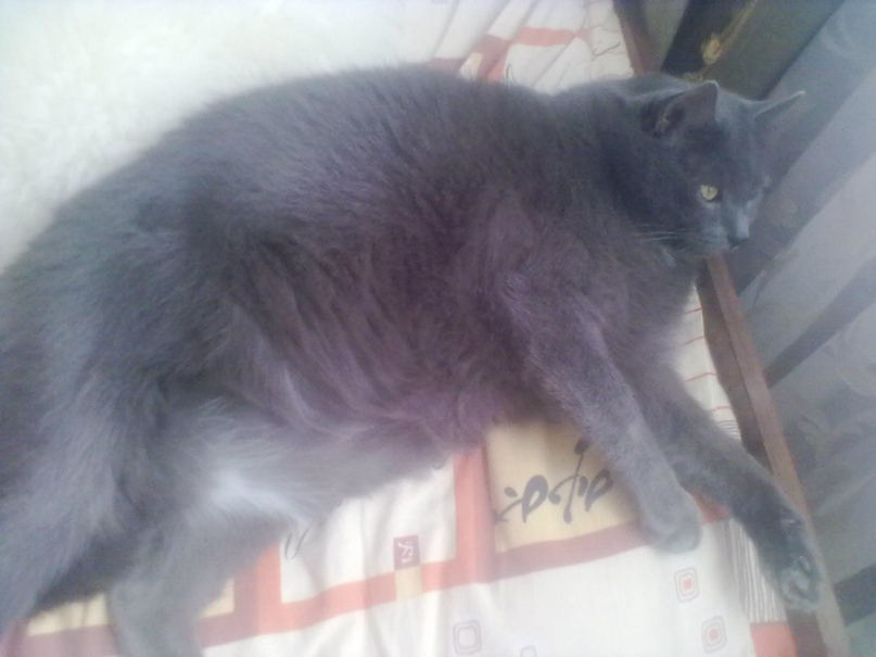 Анастасия Голикова | Великий Новгород