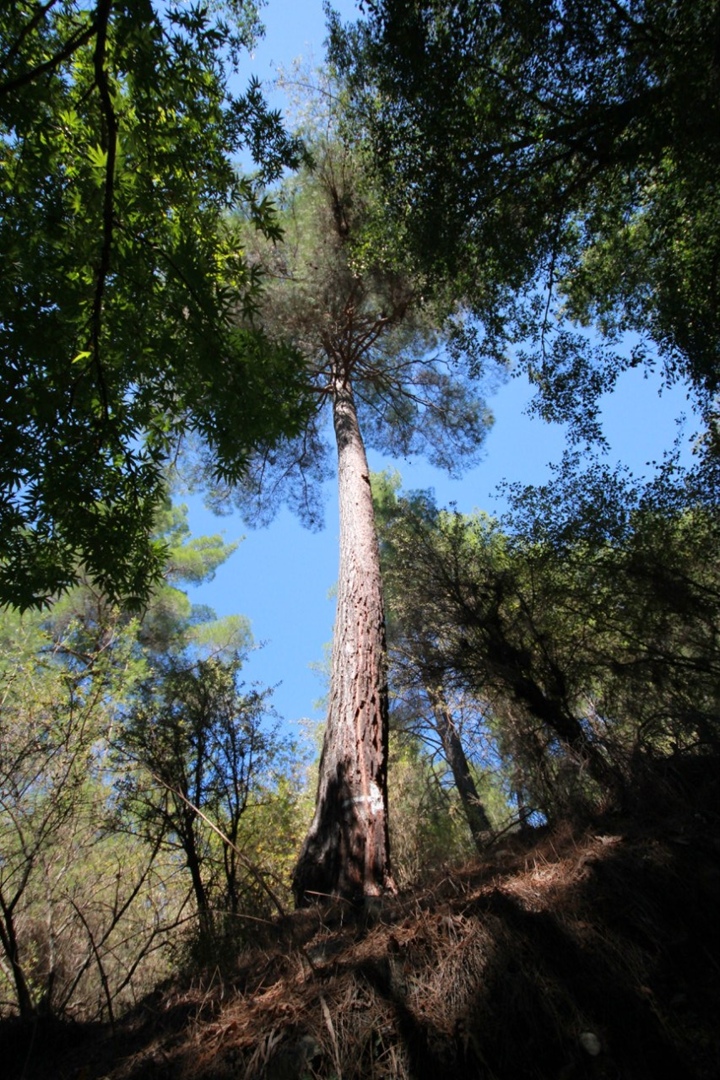 Маша Орлова | Санкт-Петербург