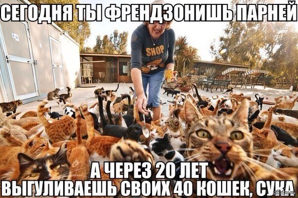 Соня Коновалова |