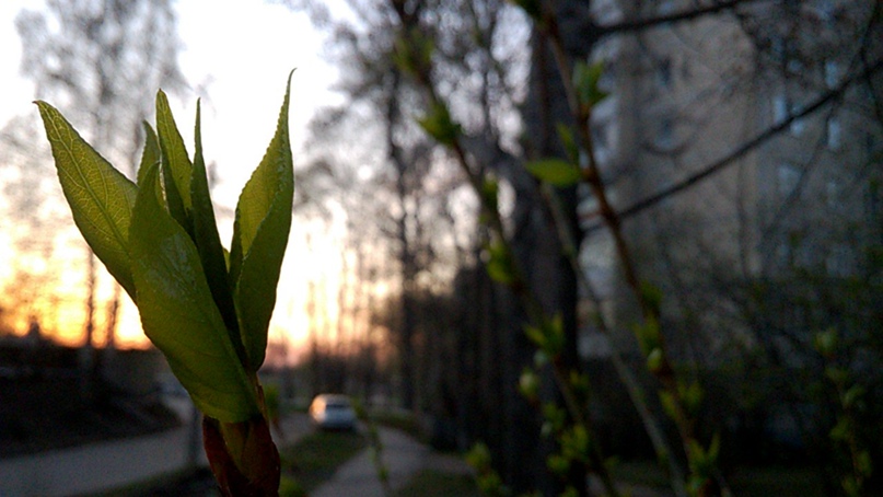 Илья Оленин | Ульяновск