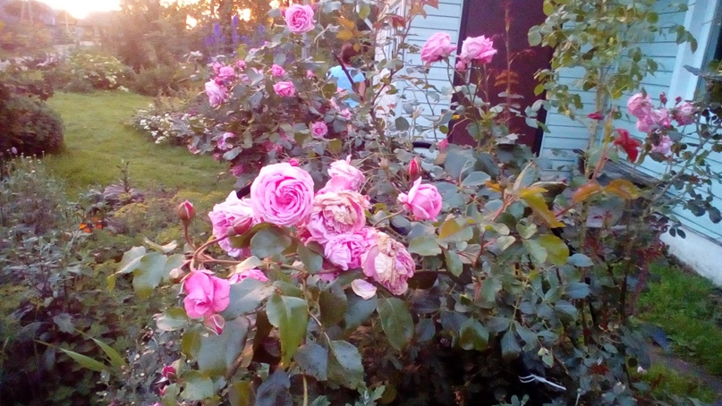 Мария Насырова Хельда | Мончегорск