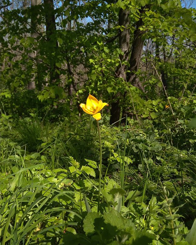 Маша Малыхина | Харьков