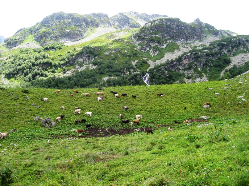 Дмитрий Радюк | Санкт-Петербург