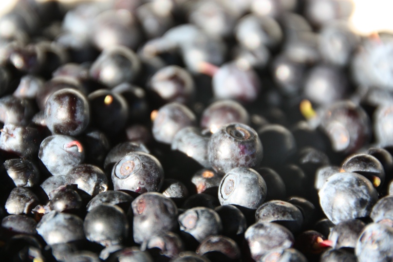 Илья Долгов | Севастополь