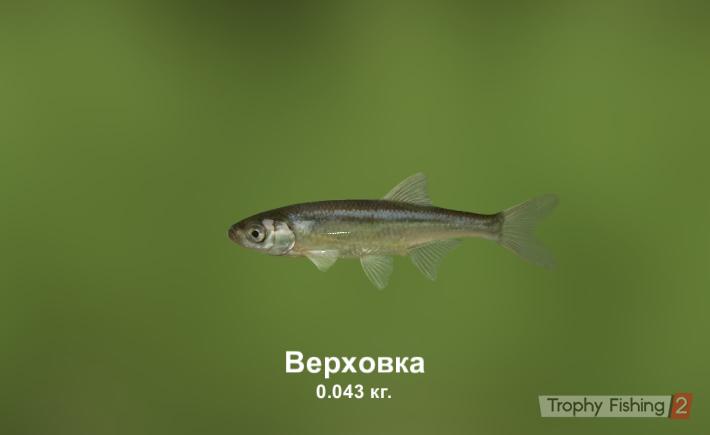 Сергей Сыров | Москва