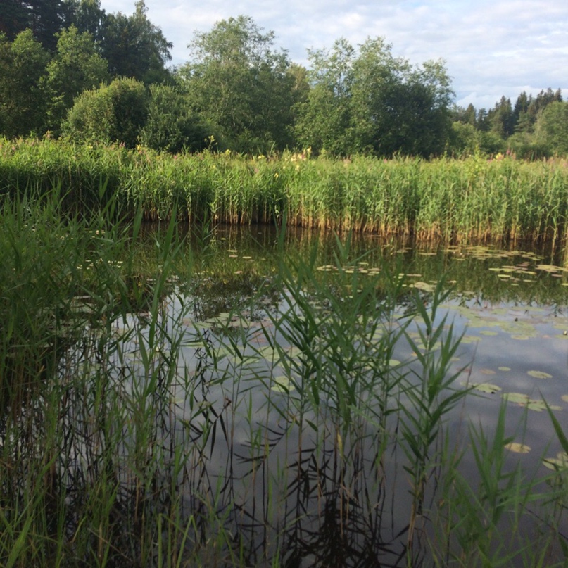 Лилия Кондратьева | Санкт-Петербург