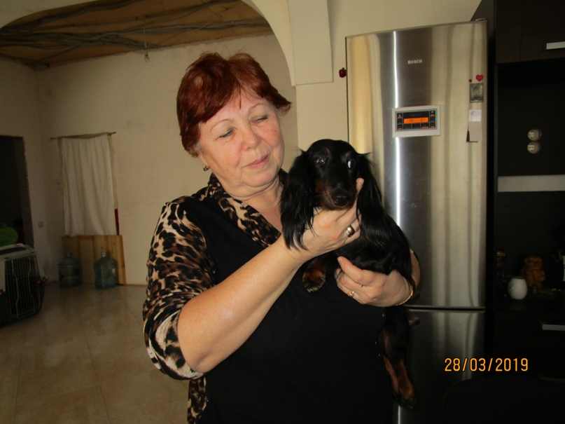 Татьяна Севостьянова | Санкт-Петербург