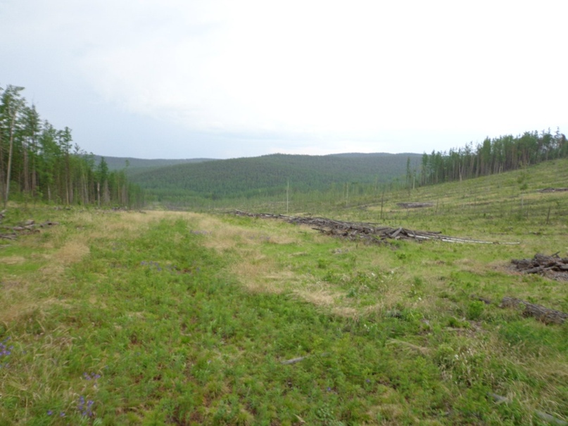 Роман Городничев Gr=Ad | Королёв