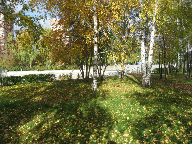 Татьяна Веретенникова | Ижевск