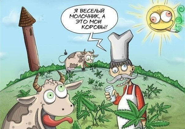 Ксюша Кошелева | Москва