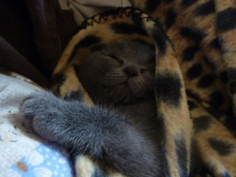 Наташа Воронина | Рязань