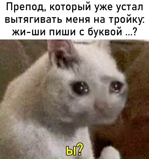 Наугад