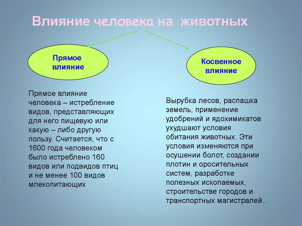 7 В 276 БИО: записи сообщества ВКонтакте